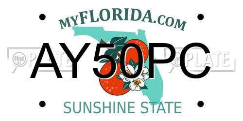 AY50PC Florida License Plate