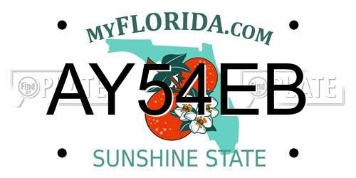AY54EB Florida License Plate
