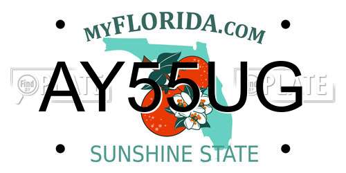 AY55UG Florida License Plate