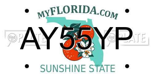 AY55YP Florida License Plate