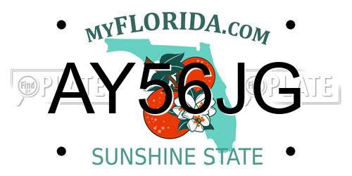 AY56JG Florida License Plate