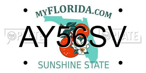 AY56SV Florida License Plate