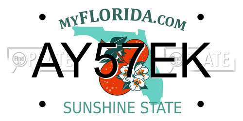 AY57EK Florida License Plate