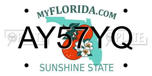 AY57YQ Florida License Plate