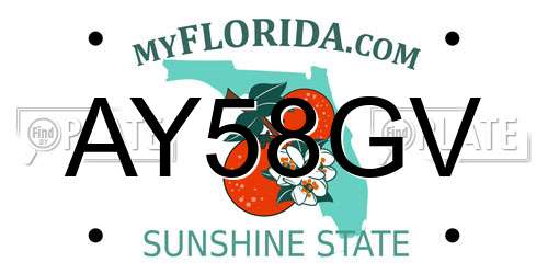 AY58GV Florida License Plate