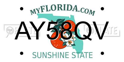 AY58QV Florida License Plate