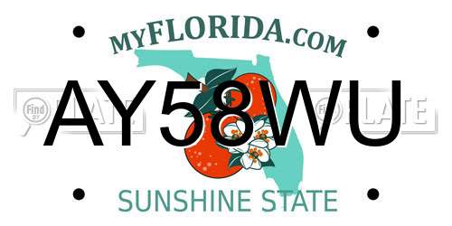 AY58WU Florida License Plate