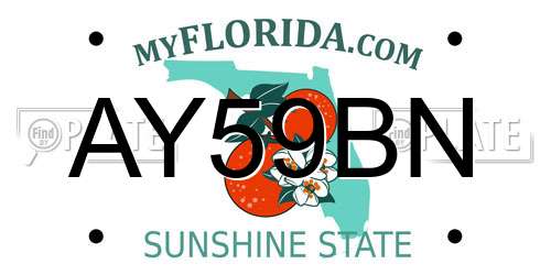 AY59BN Florida License Plate