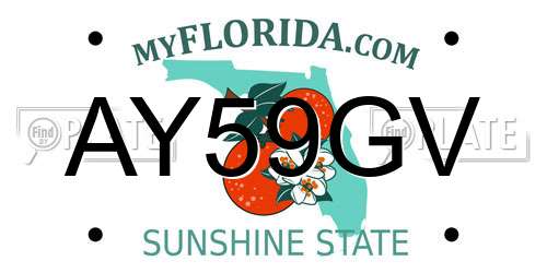 AY59GV Florida License Plate