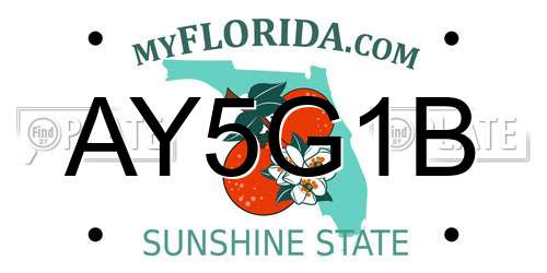 AY5G1B Florida License Plate