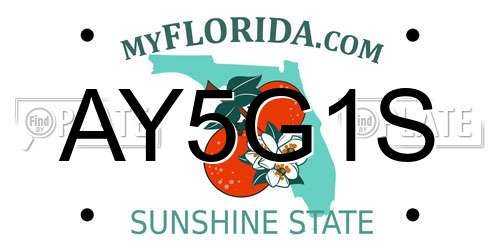 AY5G1S Florida License Plate