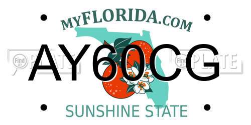 AY60CG Florida License Plate
