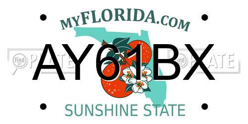 AY61BX Florida License Plate