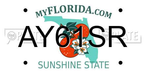 AY61SR Florida License Plate