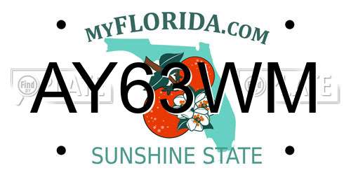 AY63WM Florida License Plate