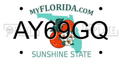 AY69GQ Florida License Plate