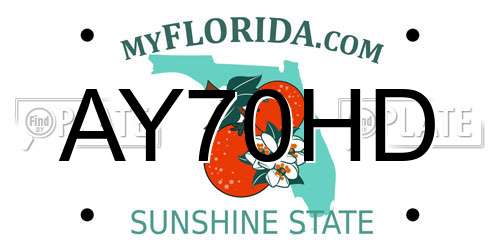 AY70HD Florida License Plate