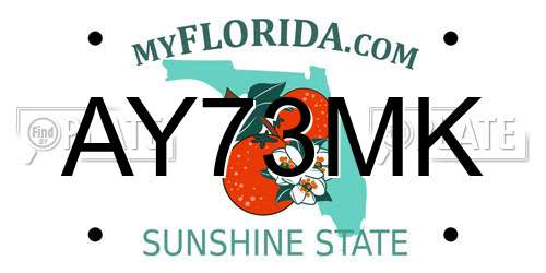 AY73MK Florida License Plate