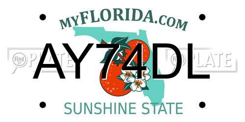 AY74DL Florida License Plate