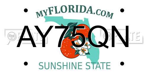 AY75QN Florida License Plate