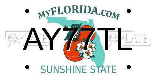 AY77TL Florida License Plate
