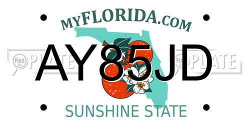 AY85JD Florida License Plate