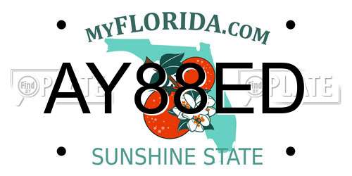 AY88ED Florida License Plate
