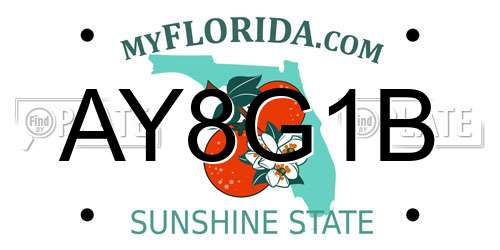 AY8G1B Florida License Plate