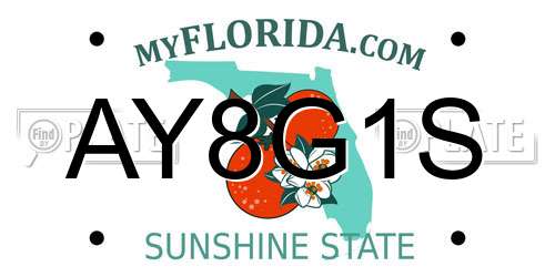AY8G1S Florida License Plate