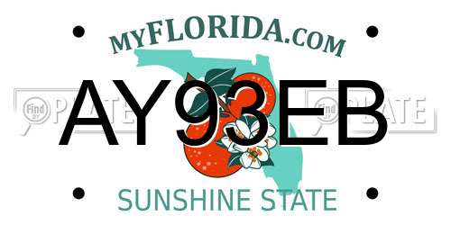 AY93EB Florida License Plate