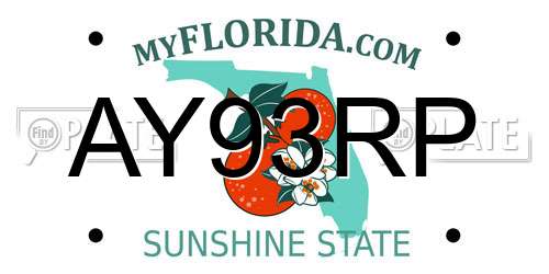 AY93RP Florida License Plate