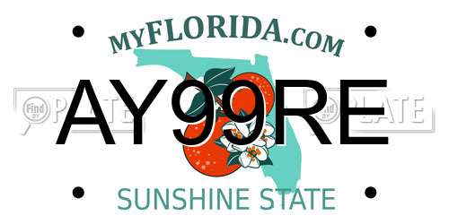 AY99RE Florida License Plate