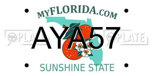 AYA57 Florida License Plate