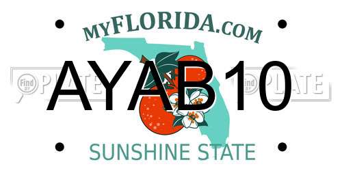 AYAB10 Florida License Plate