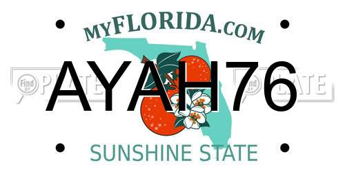 AYAH76 Florida License Plate