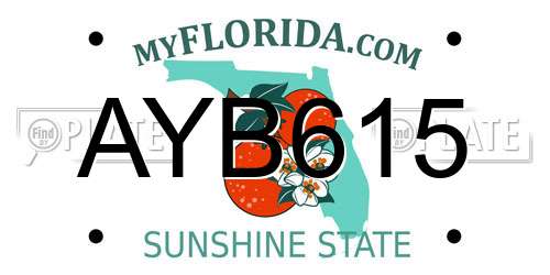 AYB615 Florida License Plate
