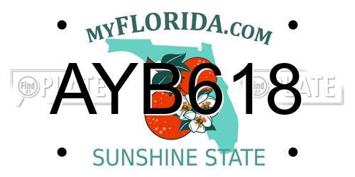 AYB618 Florida License Plate