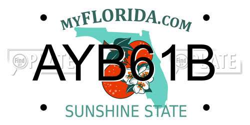 AYB61B Florida License Plate