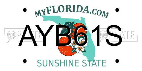 AYB61S Florida License Plate