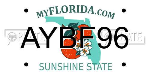 AYBF96 Florida License Plate