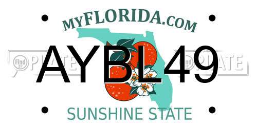 AYBL49 Florida License Plate