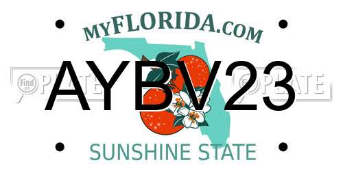 AYBV23 Florida License Plate