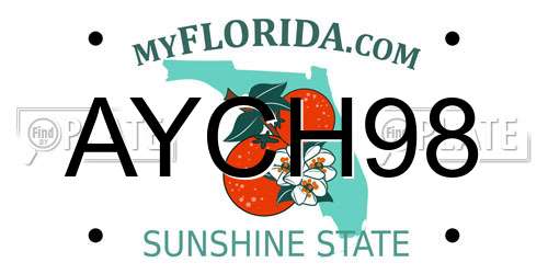AYCH98 Florida License Plate