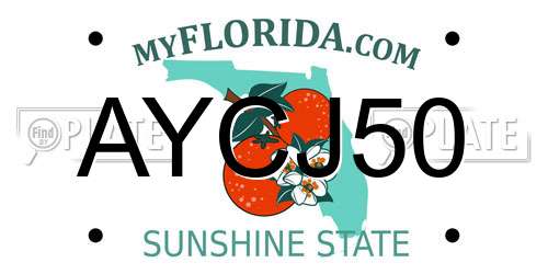 AYCJ50 Florida License Plate