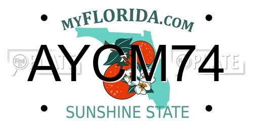 AYCM74 Florida License Plate