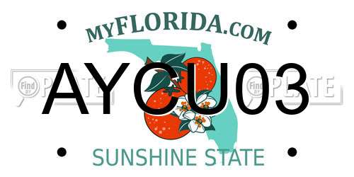 AYCU03 Florida License Plate