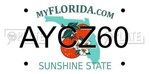 AYCZ60 Florida License Plate