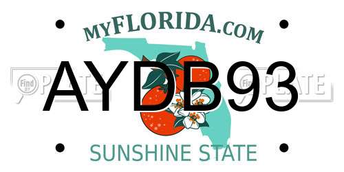 AYDB93 Florida License Plate