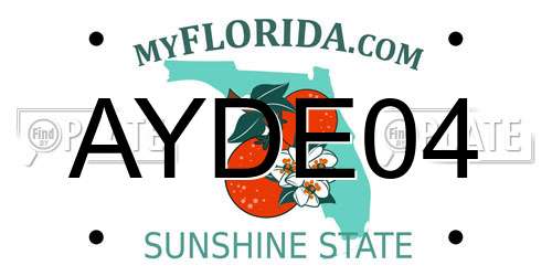AYDE04 Florida License Plate