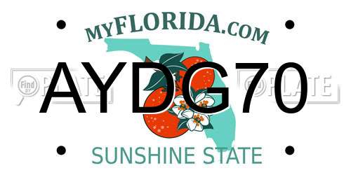 AYDG70 Florida License Plate